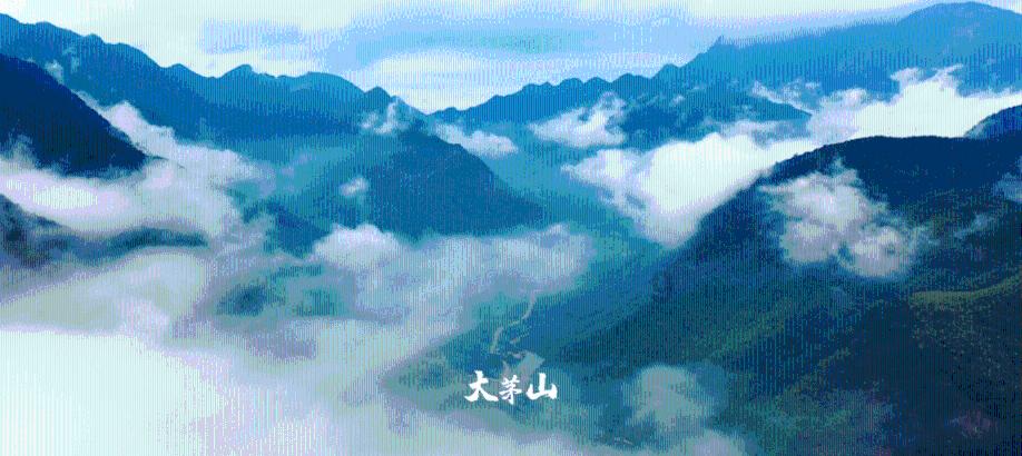 矿工打地鼠